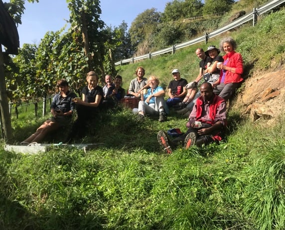 Unsere Erntemannschaft 2013 Weinanbau
