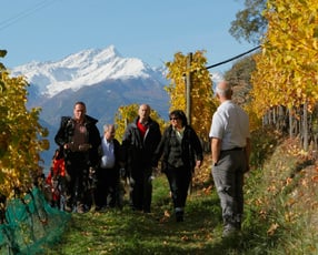 Visite guidate del maso e degustazioni